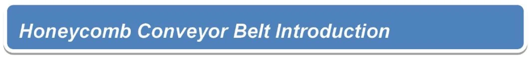 Metal Great Wall Belts Stainless Steel Horseshoe Belt /Great Wall Conveyor Net Belt/Mesh Belt/Industrial Belt/Wire Mesh/Conveyor Belting/Industrial Belt